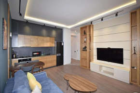 Teryan street, 1 bedroom New renovated apartment TT19